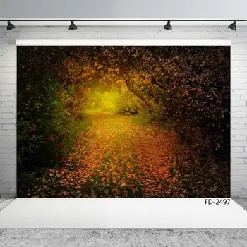 Мечтательный Осенний лес, дерево, осенний дорожный лист, портрет детей, фон для фотосъемки новорожденных, фотографический фон для фотостудии
