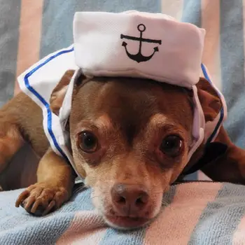 Костюм моряка для домашних животных, прекрасная стильная шляпа в темно-синем и матросском стиле, плюс шарф, костюм для собак, кошек, удобная шапка для маленьких собак.