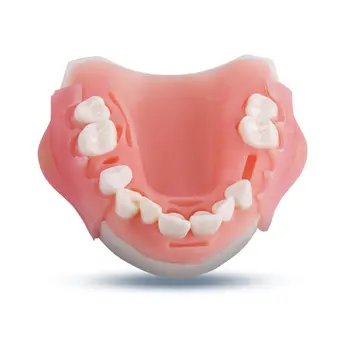 Модель для упражнений по наложению швов на зубы съемное стоматологическое тренажерное оборудование с иглой и ниткой медицинское учебное оборудование
