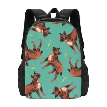 Школьные сумки Dicky Bow-Bruno для девочек-подростков, дорожные сумки для ноутбуков, Винтажные собаки, Ретро-Синий Гром, Животные, Фанки-Бульдог