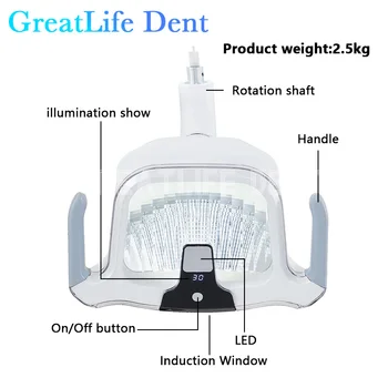 GreatLife Dent Новый Стоматологический Блок Оборудование для Стула Индукционная Бестеневая Лампа Led Dental Operation Light Стоматологическая Светодиодная Лампа Light